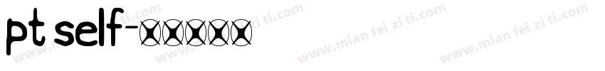 pt self字体转换